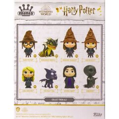 Erinevad mini vinüül Harry Potter Exclusive hind ja info | Poiste mänguasjad | kaup24.ee