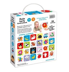 Suured kontrastsed kaardid lastele 6 ja 9 kuud + цена и информация | Развивающие игрушки | kaup24.ee