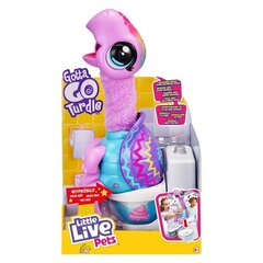 Interaktiivne kilpkonn Little Live Pets Gotta Go hind ja info | Little Live pets Lapsed ja imikud | kaup24.ee