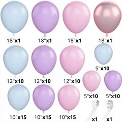 Набор воздушных шаров, 111 шт цена и информация | Шарики | kaup24.ee