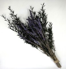 Uinunud lavendlikimp hind ja info | Uinuvad roosid, taimed | kaup24.ee