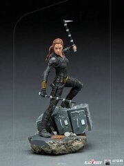 Juodosios našlės BDS 1/10 Natasha Romanoff 21 cm hind ja info | Fännitooted mänguritele | kaup24.ee