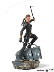 Juodosios našlės BDS 1/10 Natasha Romanoff 21 cm цена и информация | Атрибутика для игроков | kaup24.ee