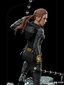 Juodosios našlės BDS 1/10 Natasha Romanoff 21 cm hind ja info | Fännitooted mänguritele | kaup24.ee