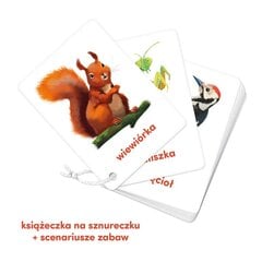 Piltidega kaardid - Loomad цена и информация | Закладки для книг | kaup24.ee