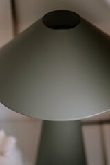 Globen Lighting laualamp Cannes, roheline цена и информация | Настольные лампы | kaup24.ee