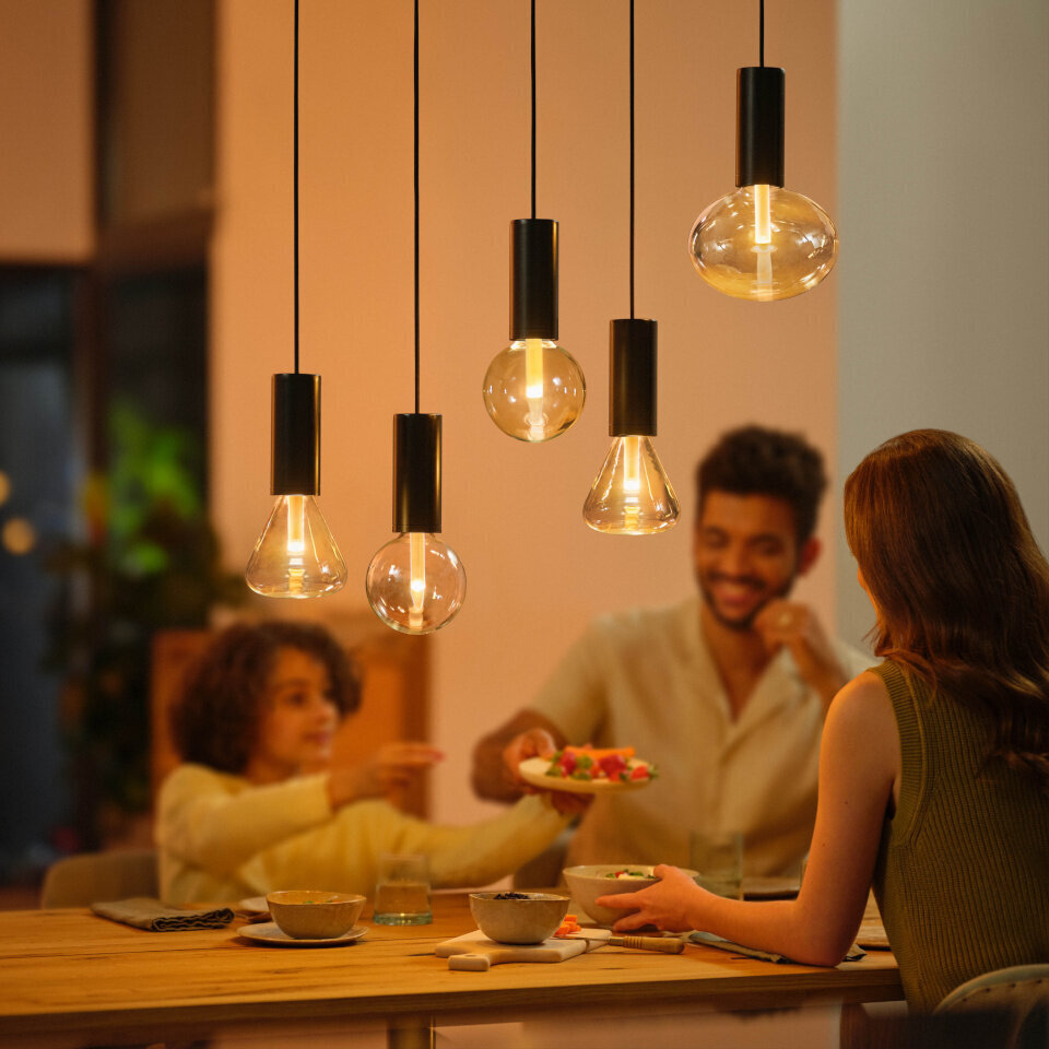 Philips Hue ripplaelamp Philips Lightguide Cord valgusti riputusjuhe, must, E27 hind ja info | Rippvalgustid | kaup24.ee