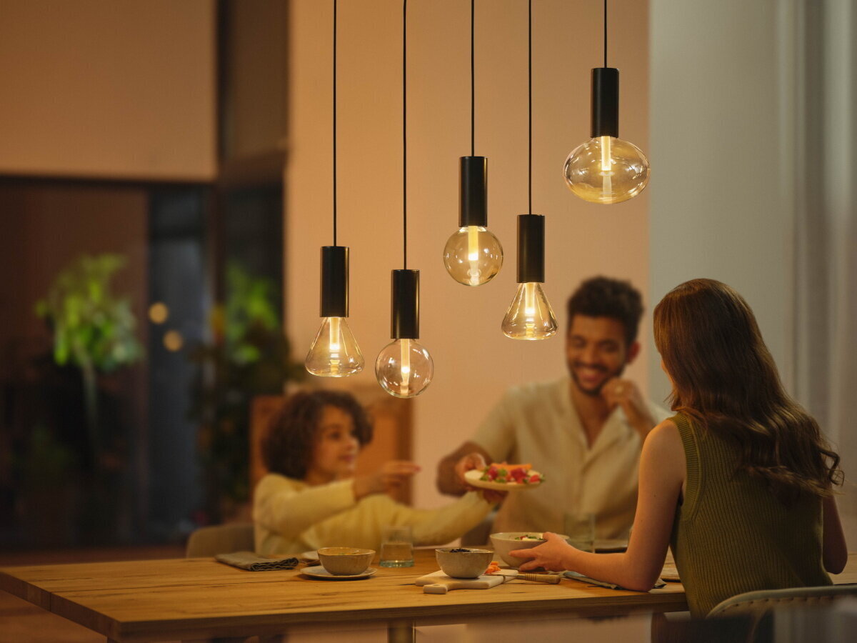 Philips Hue ripplaelamp Philips Lightguide Cord valgusti riputusjuhe, must, E27 цена и информация | Rippvalgustid | kaup24.ee