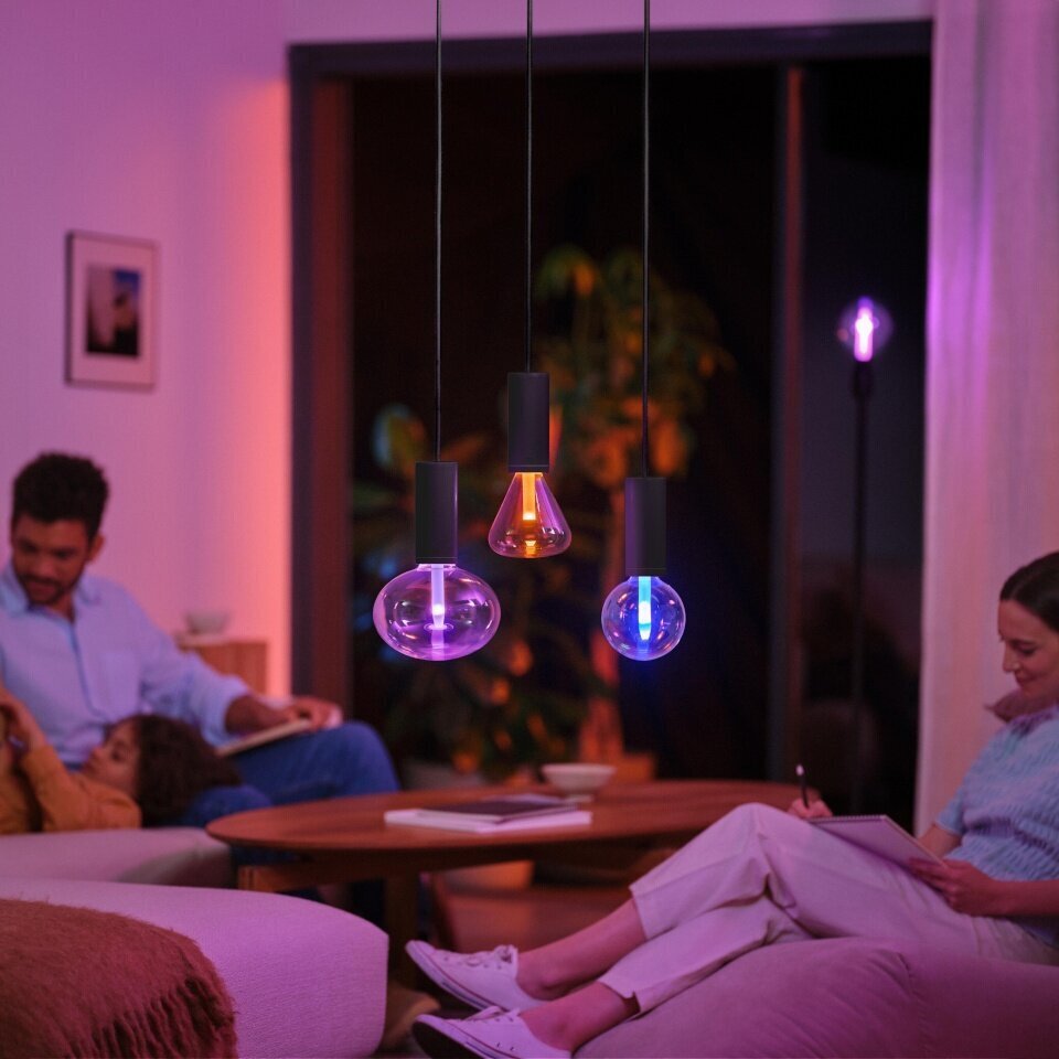 Philips Hue ripplaelamp Philips Lightguide Cord valgusti riputusjuhe, must, E27 hind ja info | Rippvalgustid | kaup24.ee