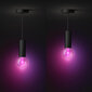 Philips Hue ripplaelamp Philips Lightguide Cord valgusti riputusjuhe, must, E27 hind ja info | Rippvalgustid | kaup24.ee