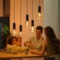 Philips Hue ripplaelamp Philips Lightguide Cord valgusti riputusjuhe, must, E27 цена и информация | Rippvalgustid | kaup24.ee