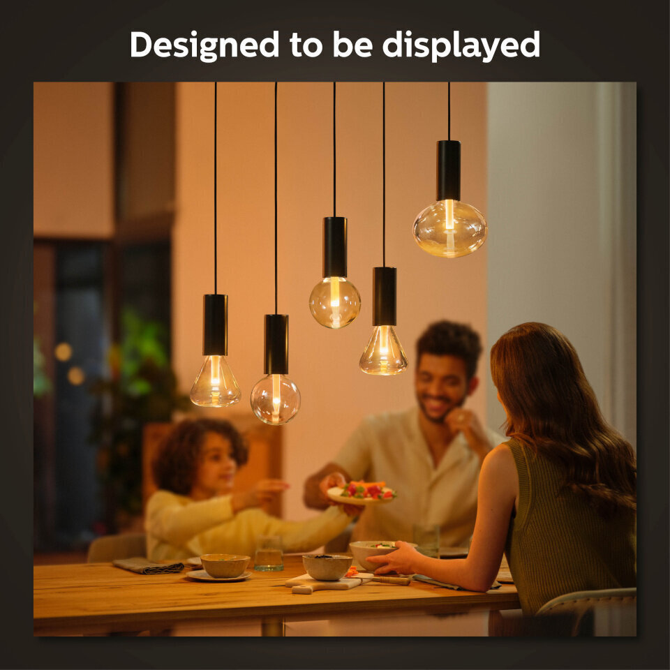 Philips Hue ripplaelamp Philips Lightguide Cord valgusti riputusjuhe, must, E27 цена и информация | Rippvalgustid | kaup24.ee