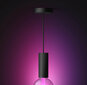 Philips Hue ripplaelamp Philips Lightguide Cord valgusti riputusjuhe, must, E27 hind ja info | Rippvalgustid | kaup24.ee