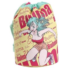 Kosmetikos krepšys Dragon Ball Bulma hind ja info | Meigikotid, lauapeeglid | kaup24.ee