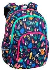 Школьный рюкзак CoolPack Basic Plus Lady Color, 27 л цена и информация | Школьные рюкзаки, спортивные сумки | kaup24.ee