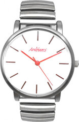 Мужские часы Arabians DBA2272R (Ø 36 мм) цена и информация | Мужские часы | kaup24.ee
