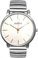 Мужские часы Arabians DBA2272P (Ø 36 мм) цена и информация | Мужские часы | kaup24.ee