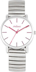 Мужские часы Arabians DBA2272F (Ø 36 мм) цена и информация | Мужские часы | kaup24.ee