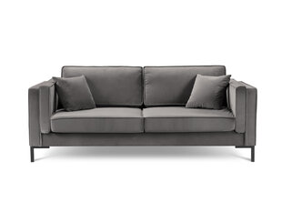 Четырехместный диван Luis 4, светло-серый/черный цена и информация | Диваны | kaup24.ee