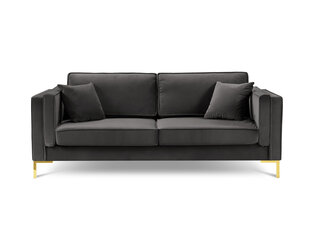 Четырехместный диван Luis 4, темно-серый/золотистый цена и информация | Диваны | kaup24.ee