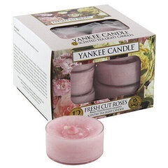 Ароматизированные чайные свечи Yankee Candle Fresh Cut Roses, 12 x 9,8 г цена и информация | Свечи, подсвечники | kaup24.ee