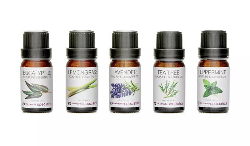 Eeterlike õlide komplekt Rio Aromatherapy Oil Collection, 5 x 10 ml hind ja info | Eeterlikud ja kosmeetilised õlid | kaup24.ee