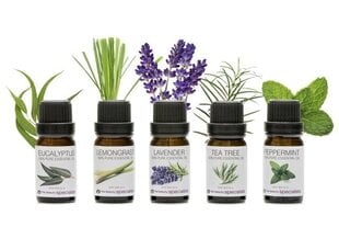 Набор эфирных масел Rio Aromatherapy Oil Collection, 5 x 10 мл цена и информация | Эфирные, косметические масла, гидролаты | kaup24.ee