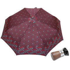Полуавтоматический зонт CARBON STEEL DA330-9 цена и информация | Женские зонты | kaup24.ee