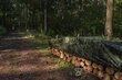 Kamuflaaž välipresent Bradas CAMOforest 6x10 m, 90 g/m² цена и информация | Aiatööriistad | kaup24.ee