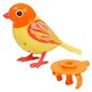 Laulev lind Silverlit Digi Birds, 1 tk цена и информация | Tüdrukute mänguasjad | kaup24.ee