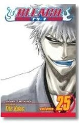 Viz Bleach Vol. 25 paberback manga hind ja info | Koomiksid | kaup24.ee