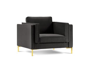 Кресло Luis 1, темно-серый/золотой цвет цена и информация | Кресла в гостиную | kaup24.ee