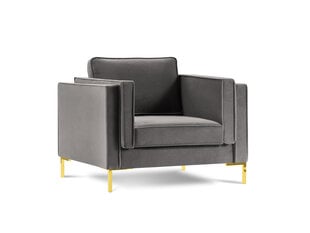 Кресло Luis 1, светло-серый/золотой цвет цена и информация | Кресла | kaup24.ee