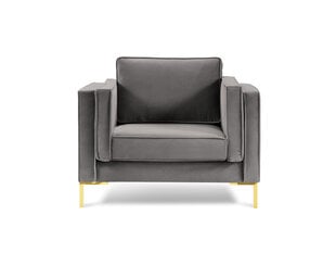 Кресло Luis 1, светло-серый/золотой цвет цена и информация | Кресла | kaup24.ee