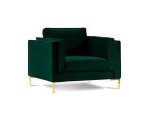 Кресло Luis 1, зеленый/золотистый цвет цена и информация | Кресла | kaup24.ee