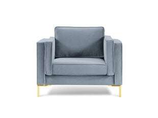 Кресло Luis 1, голубой/золотой цвет цена и информация | Кресла | kaup24.ee