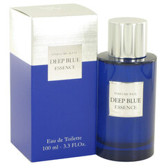 Tualettvesi Deep Blue Essence EDT meestele, 100ml hind ja info | Meeste parfüümid | kaup24.ee