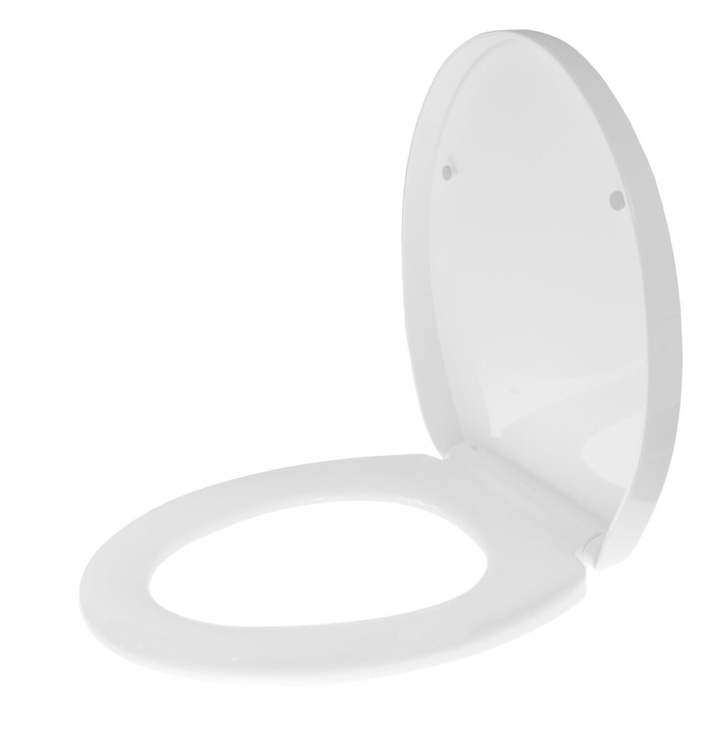WC iste, Granitan, valge hind ja info | Vannitoa sisustuselemendid ja aksessuaarid | kaup24.ee