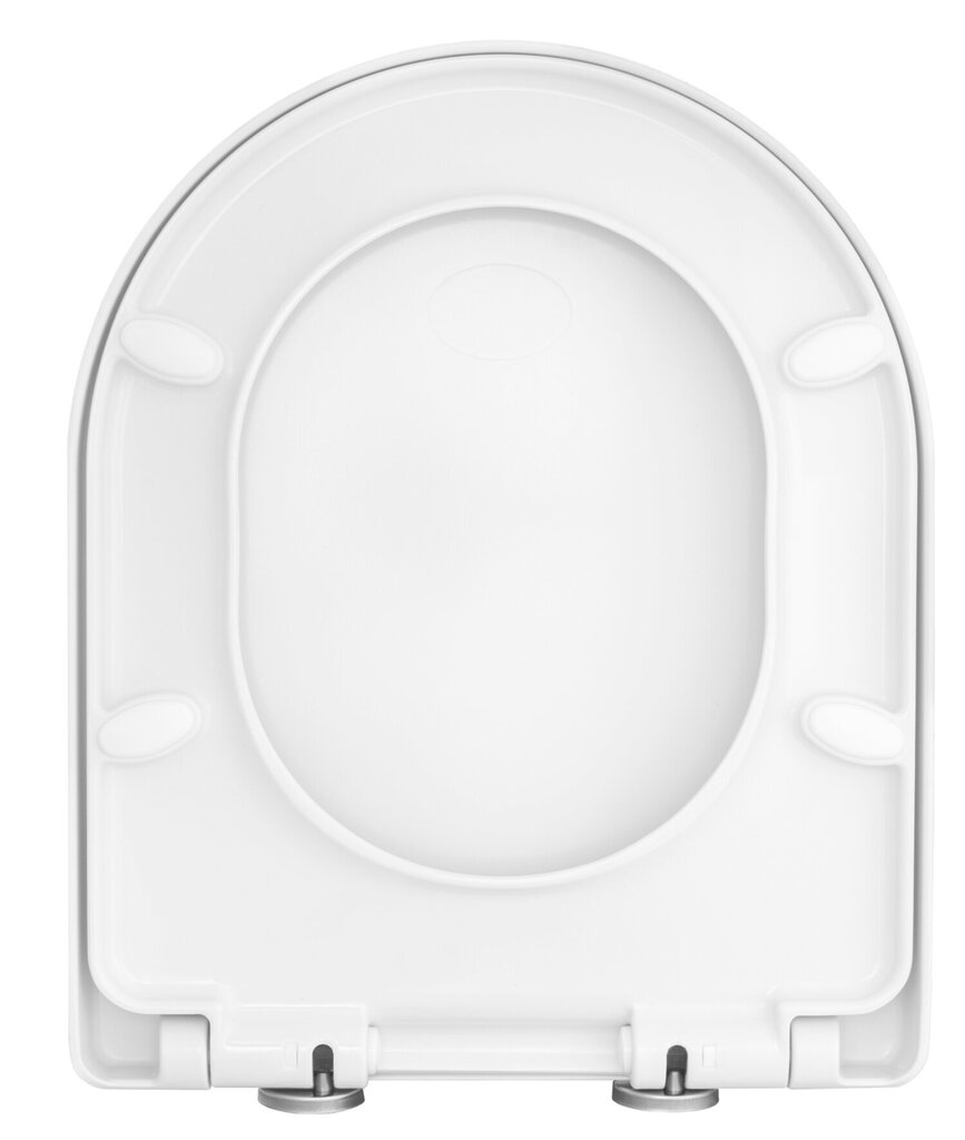 WC iste, Granitan, valge hind ja info | Vannitoa sisustuselemendid ja aksessuaarid | kaup24.ee