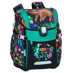 Kooli seljakott Colorino Ferbie Wildkid, erinevad värvid цена и информация | Школьные рюкзаки, спортивные сумки | kaup24.ee
