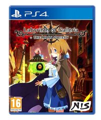 PS4 Labyrinth of Galleria: The Moon Society цена и информация | Компьютерные игры | kaup24.ee