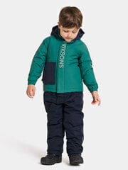 Детская зимняя куртка Didriksons RIO, зеленый цвет цена и информация | Зимняя одежда для детей | kaup24.ee