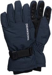 Детские зимние перчатки Didriksons BIGGLES, темно-синий цвет цена и информация | Зимняя одежда для детей | kaup24.ee