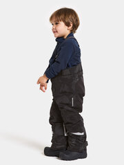 Детские светоотражающие зимние штаны Didriksons IDRE цена и информация | Зимняя одежда для детей | kaup24.ee