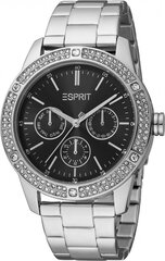 Женские часы Esprit ES1L338M0065 цена и информация | Женские часы | kaup24.ee