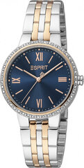 Женские часы Esprit ES1L333M0105 цена и информация | Женские часы | kaup24.ee