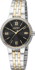 Женские часы Esprit ES1L333M0095 цена и информация | Женские часы | kaup24.ee