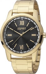 Женские часы Esprit ES1L325M0075 цена и информация | Женские часы | kaup24.ee