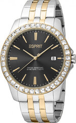 Женские часы Esprit ES1L318M0095 цена и информация | Женские часы | kaup24.ee