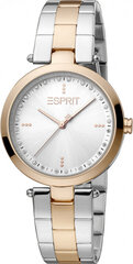 Женские часы Esprit ES1L314M0095 цена и информация | Женские часы | kaup24.ee